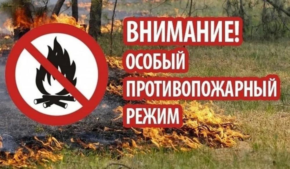 О введении особого противопожарного режима на территории муниципального района